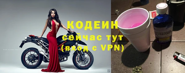 ГАЛЛЮЦИНОГЕННЫЕ ГРИБЫ Костерёво