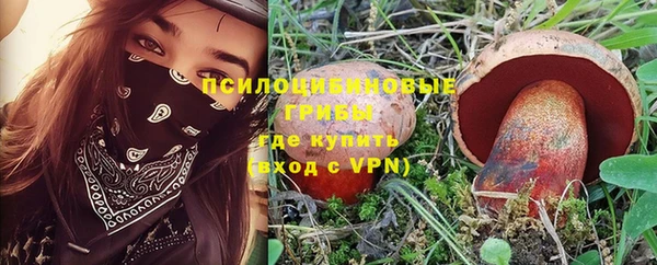 ГАЛЛЮЦИНОГЕННЫЕ ГРИБЫ Костерёво