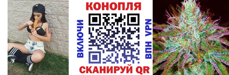 Шишки марихуана OG Kush Александровск-Сахалинский